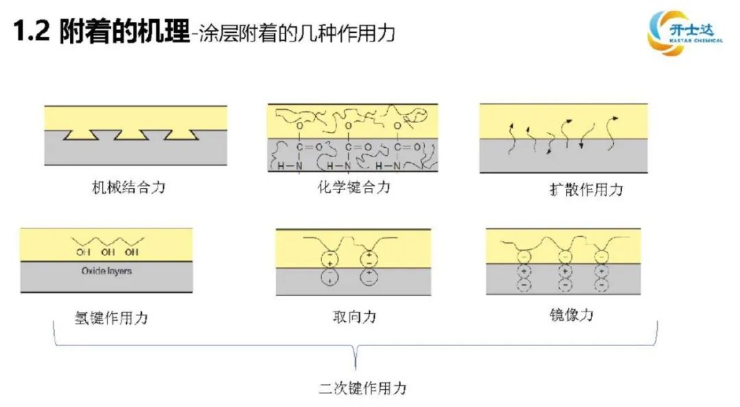 附着的机理.jpg